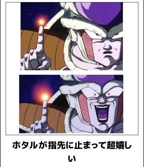 おもしろ画像集‼️