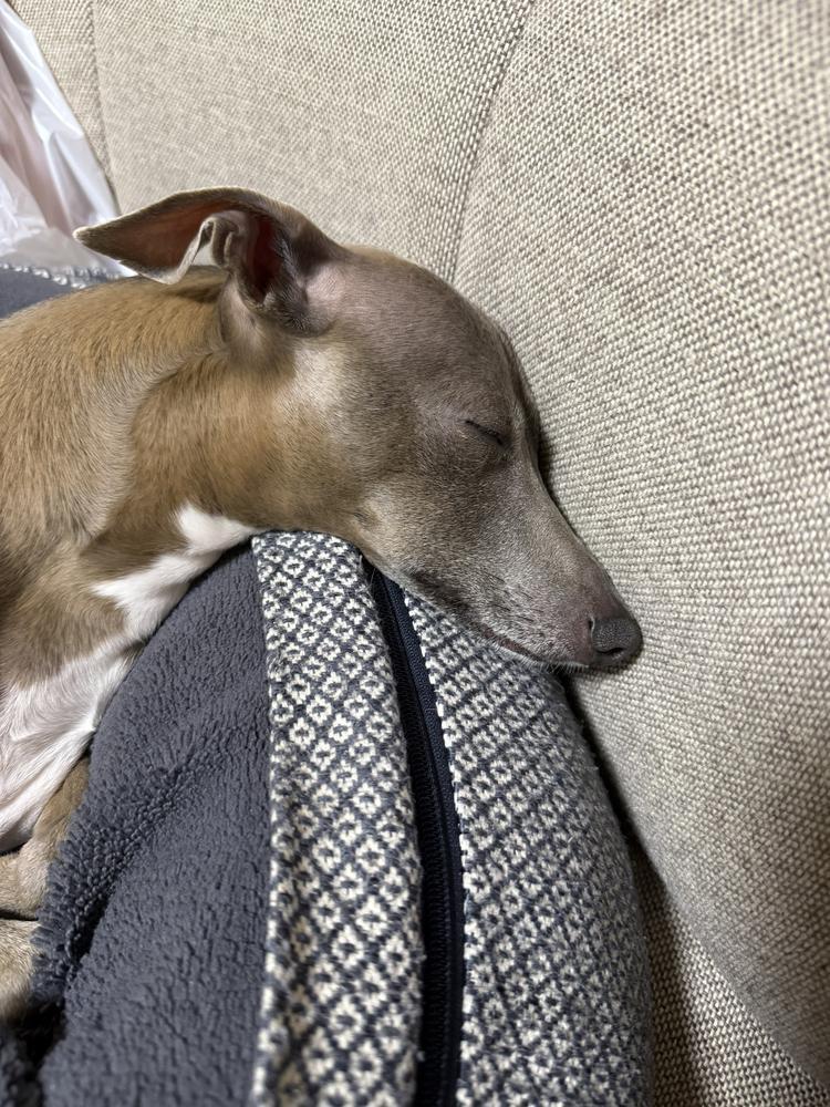 眠たいです。笑