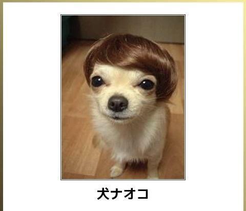 可愛すぎだろ！！！🤦‍♀️