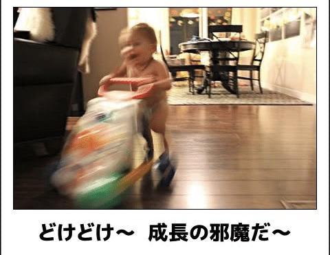 大暴れ君🤣🤣