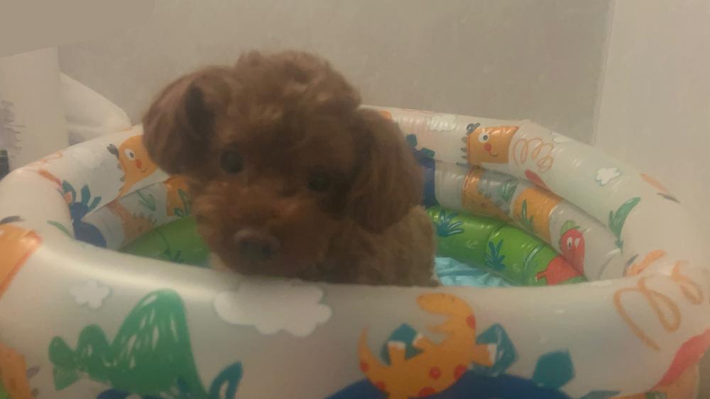 お酒は気合いで飲むんだよ！