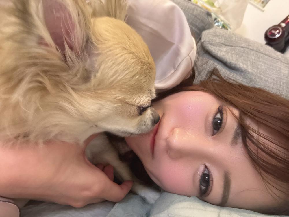 🐶と