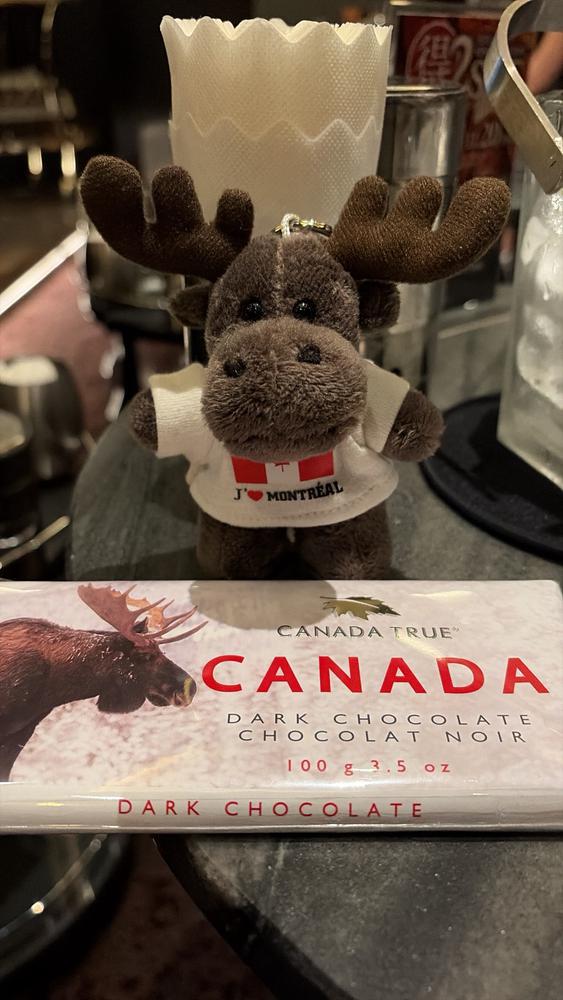 カナダからの🇨🇦