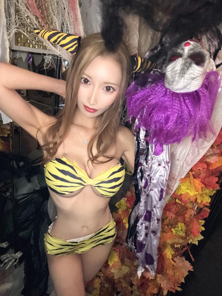 アメリカンショートヘア