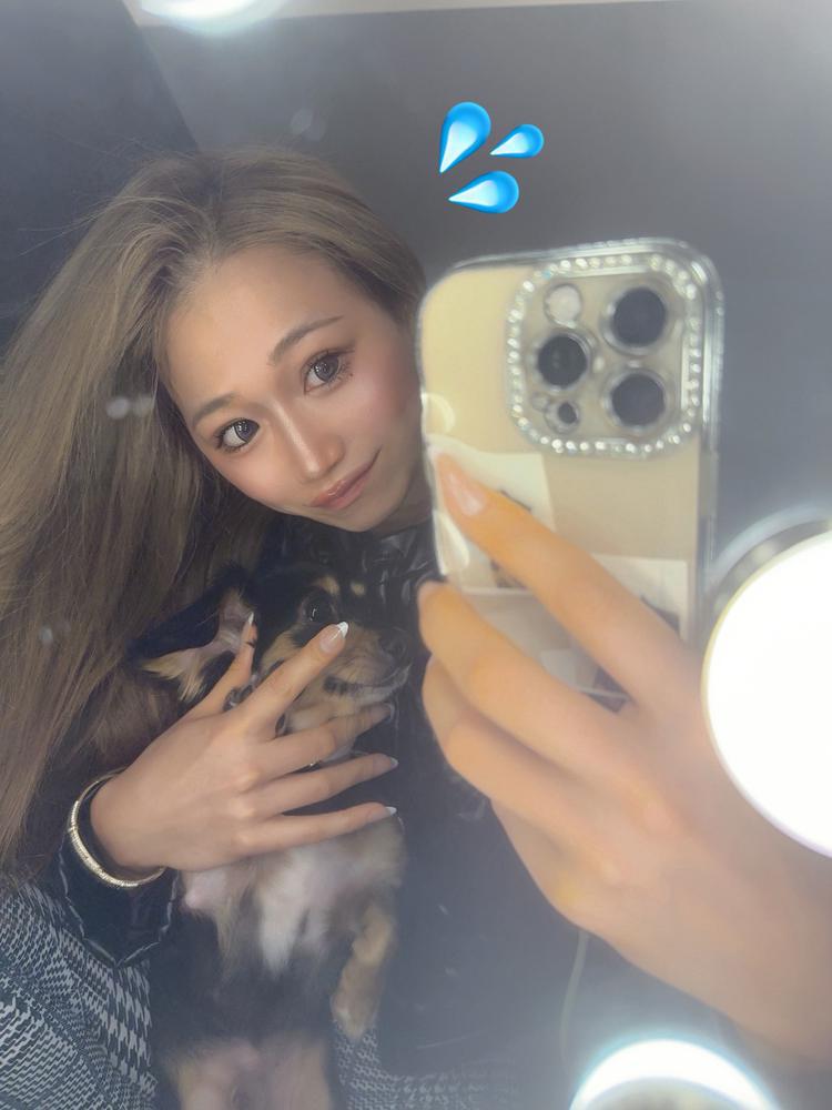 まだ蚊おるんけ