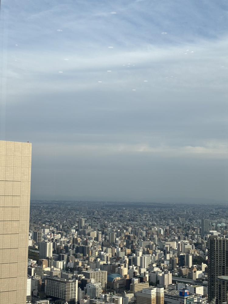 のんびりした休み🎶