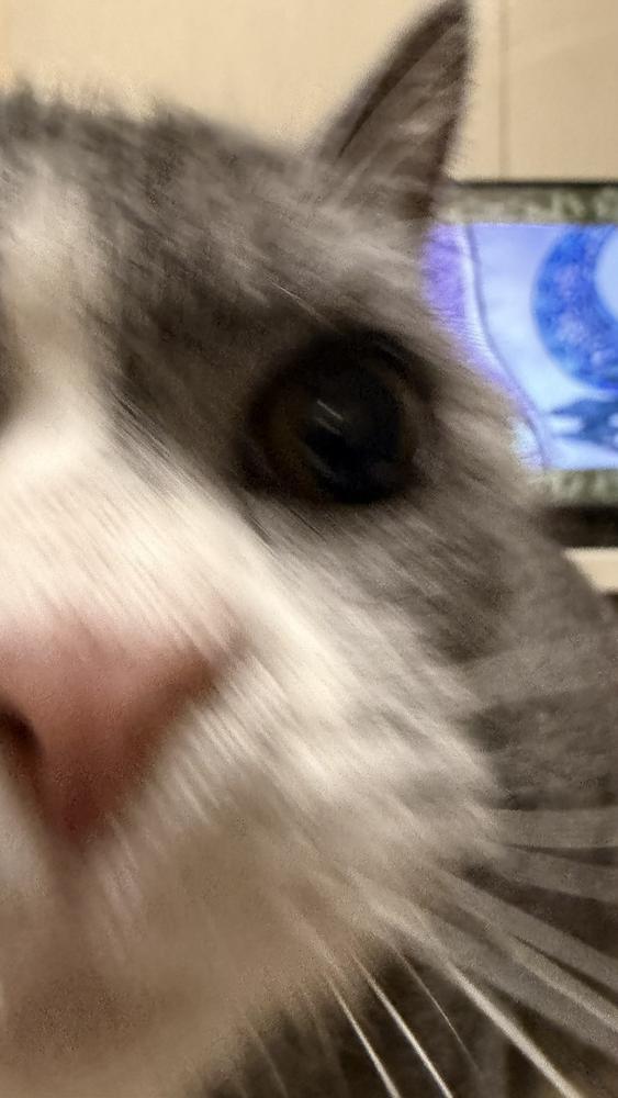 おはようーー◟( ᵒ̴̶̷̥́ ·̫ ᵒ̴̶̷̣̥̀ )