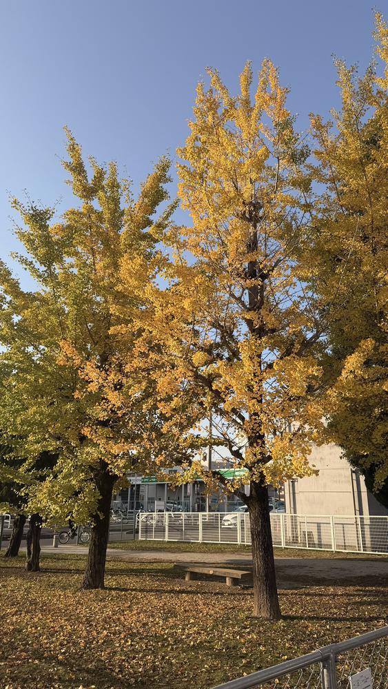 おはようございますっ