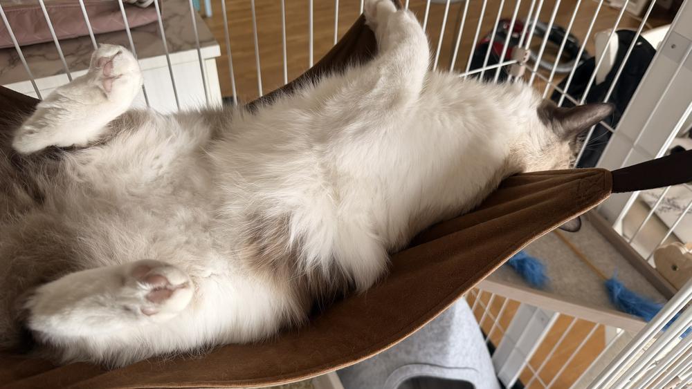 色々あって三日ぶりの出勤😖