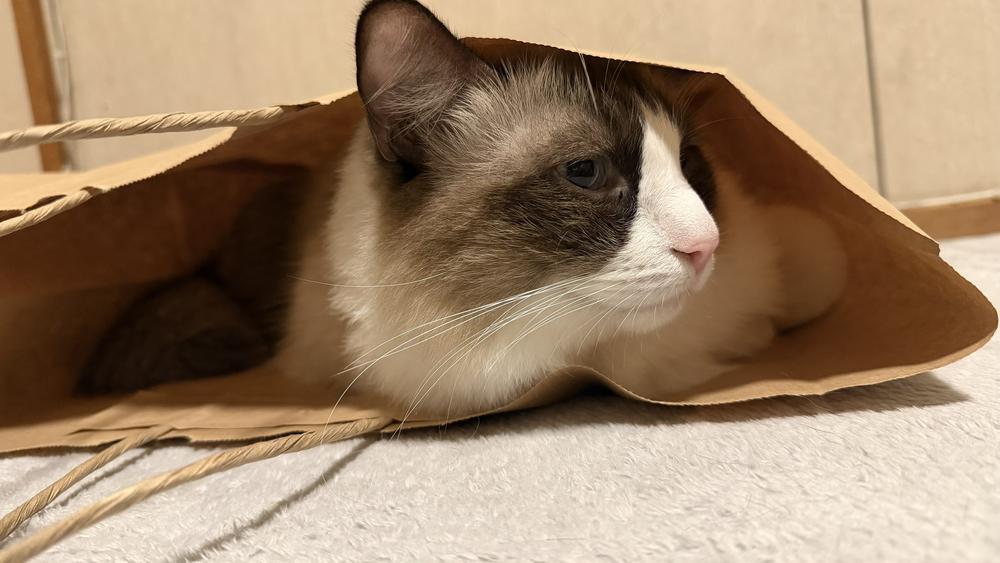 おはよーう✌🏻ᴖ ̫ᴖ✌🏻🎶