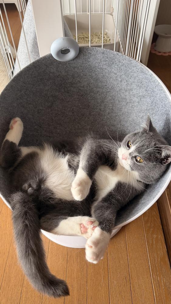 ねむたあああい🤧