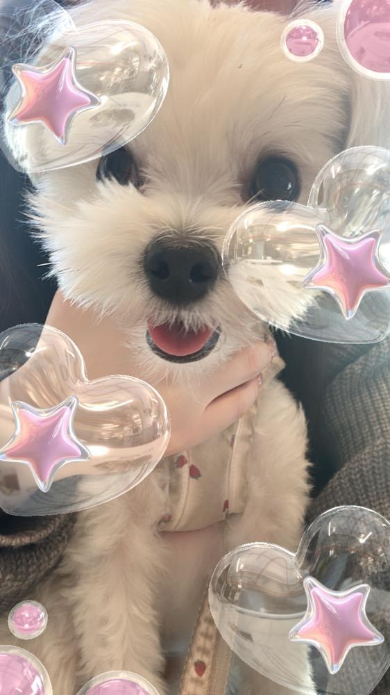 週末にインした😆👍🏻