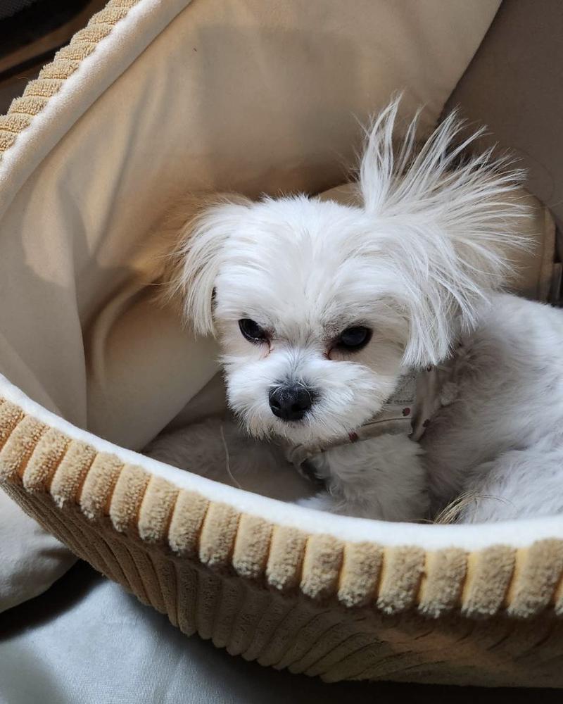 乾燥の季節辛いにょん🌿