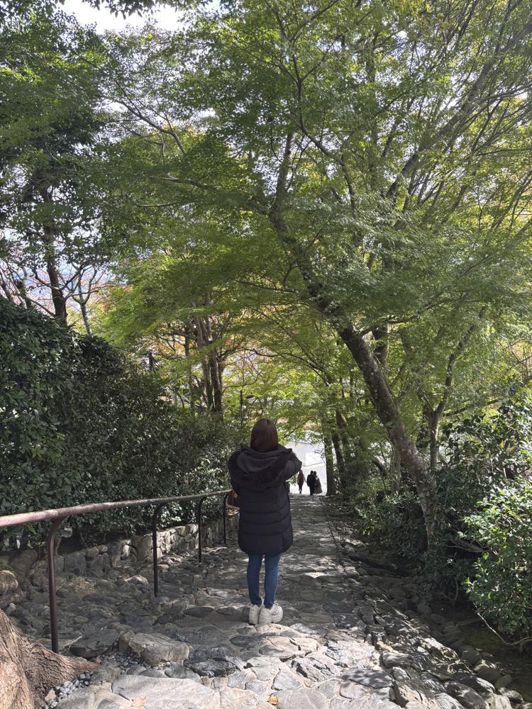 二条城朝散歩☀️