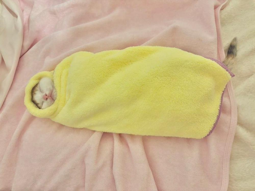 昨日お休みしちゃった💦