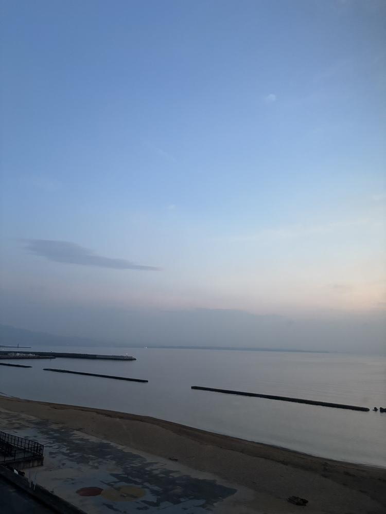 自然見に行きたいな🌳