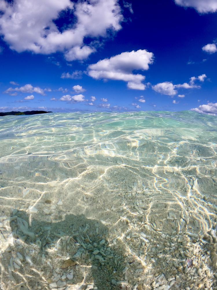 今週も始まりましたね🍺