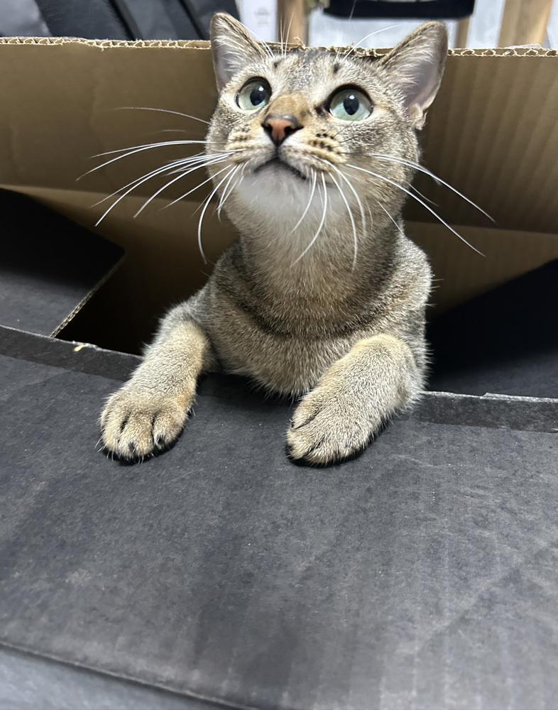 いい写真撮れた📸