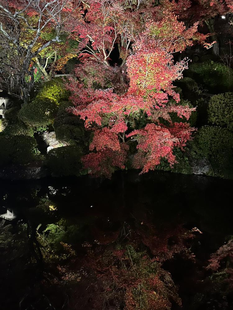 京都行ってきた🤍