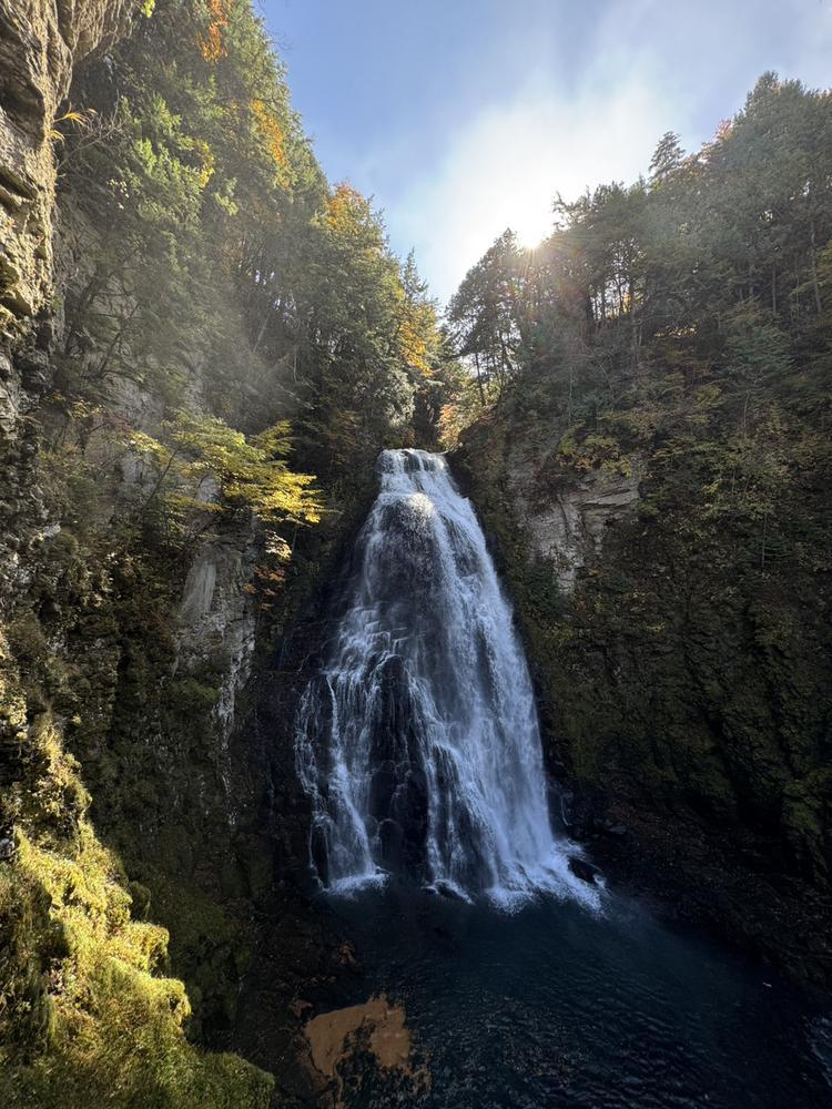 パワースポットにも程があるぜ‼️🌟