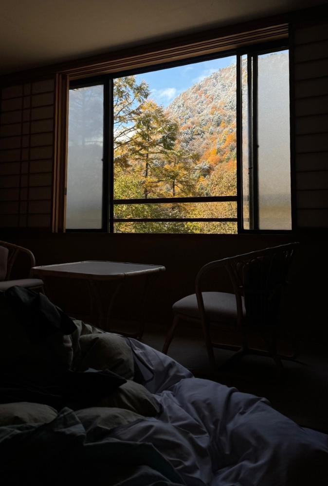 紅葉が見える部屋に泊まりました‼️🌟