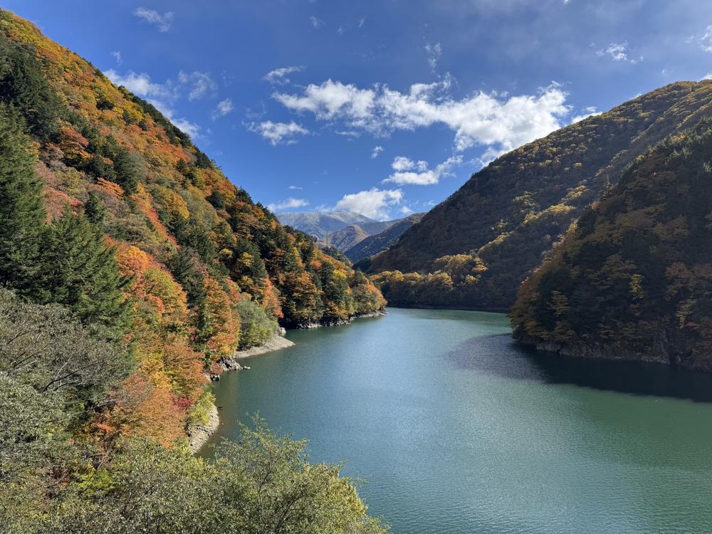 絵画の世界に迷い込んだ⁉️🌟