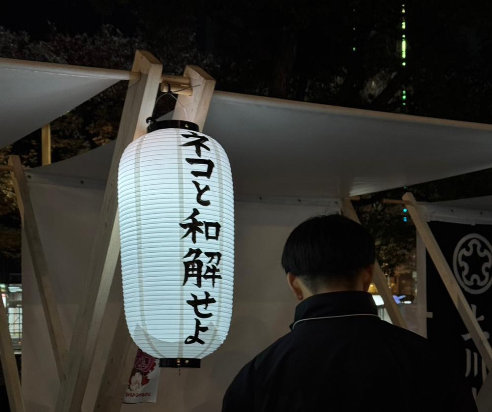 ネコと和解せよ‼️🌟