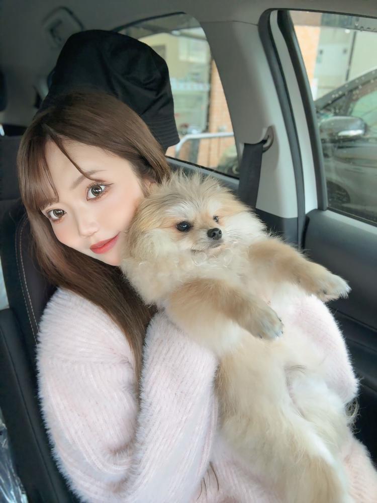 #信長祭りいったきたよ🐩🤍