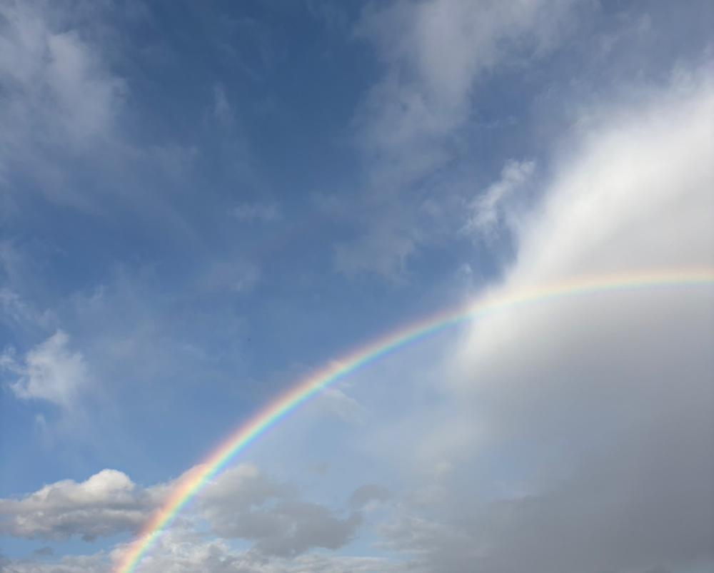 虹🌈