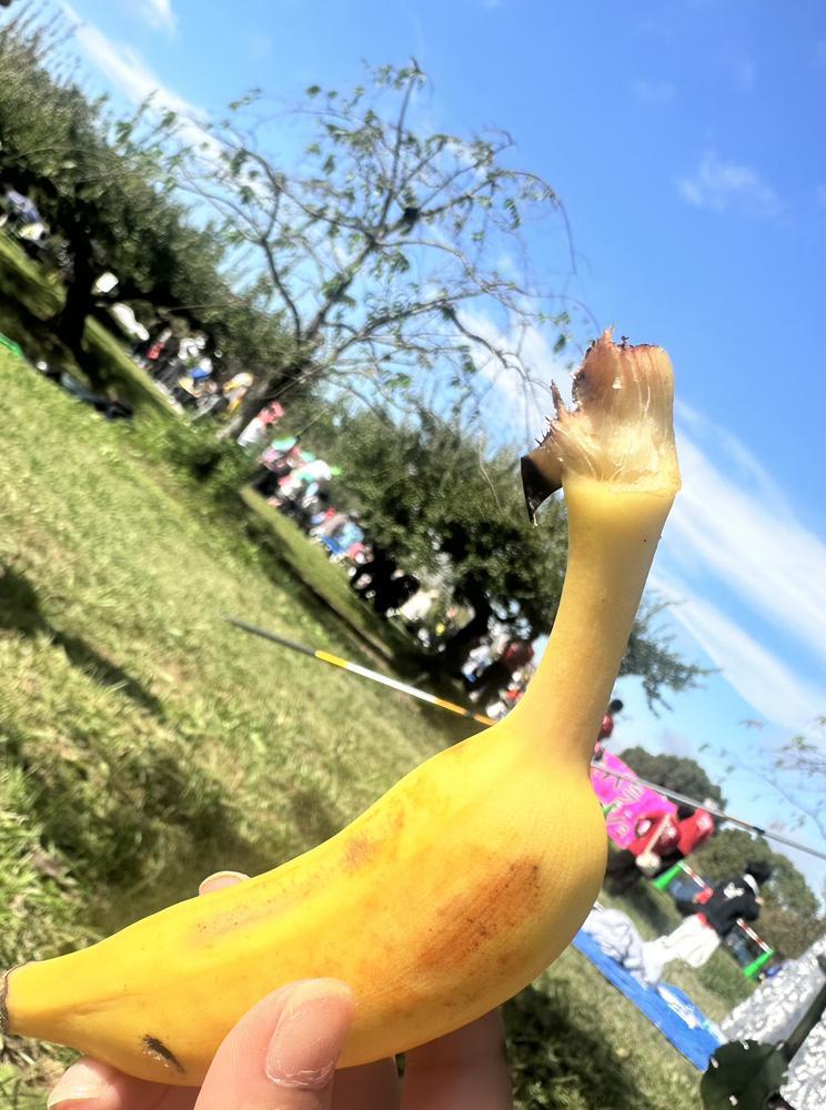 バナップル🍌🍎