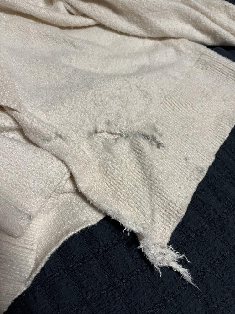 さよならピケちゃん