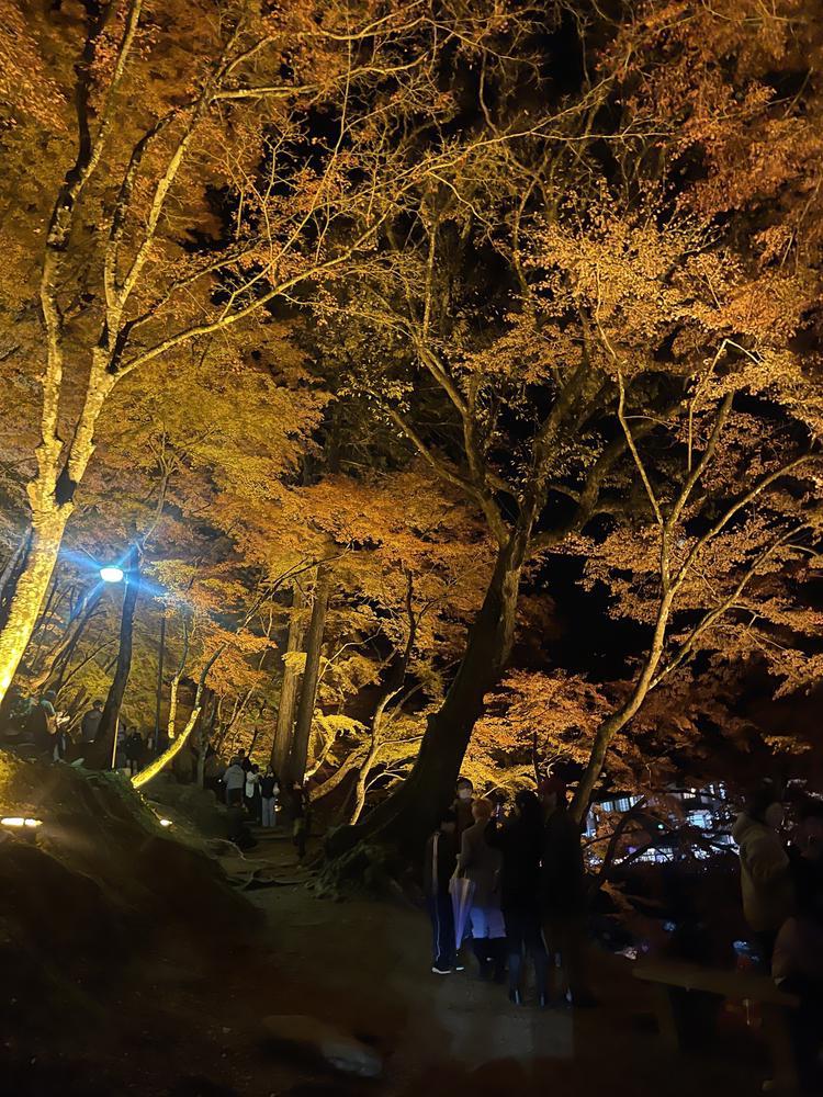 これも去年、、😿