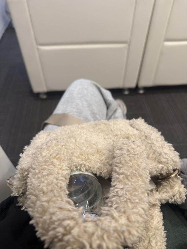 本日おやすみします。。