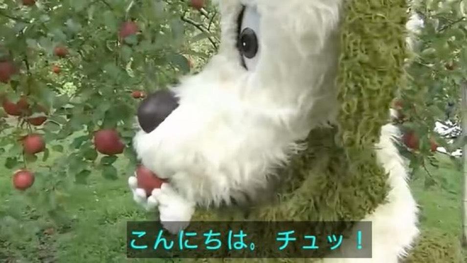 11月の目標きまった