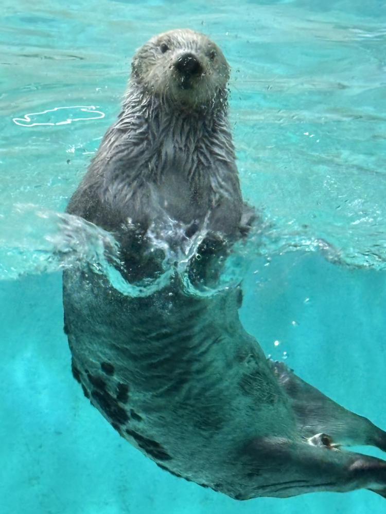 おはようございます！👝
