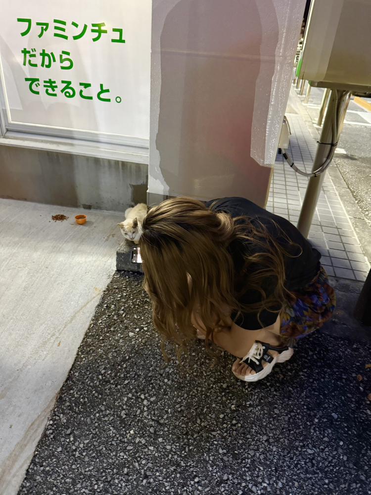 にゃーんこ🐈🐾