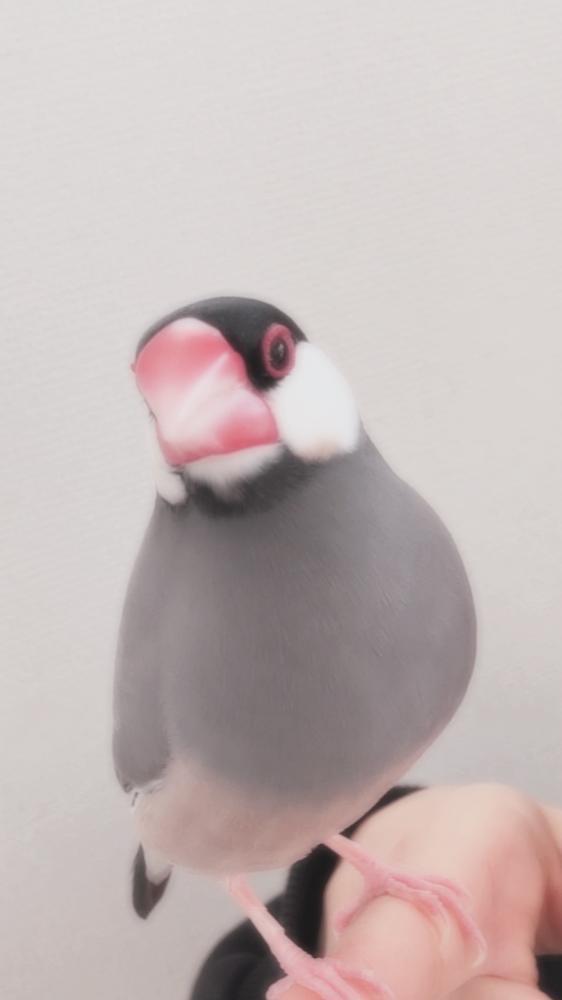 福ちゃんに久々会った