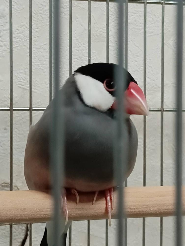 家でゴロゴロした1日