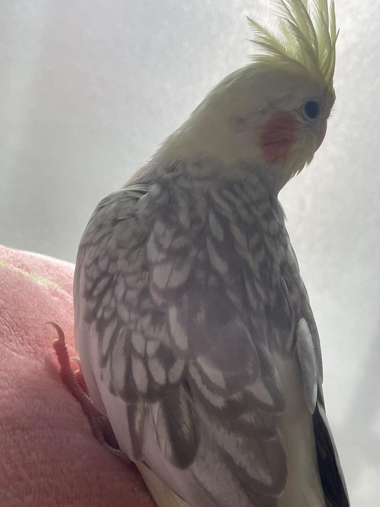 本日お休み頂いてます