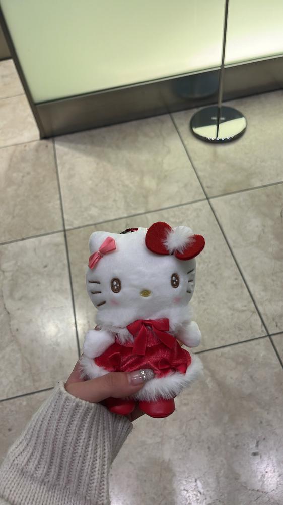 はじめまして🐈‍⬛