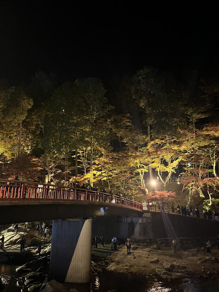 前に香嵐渓行った🍁