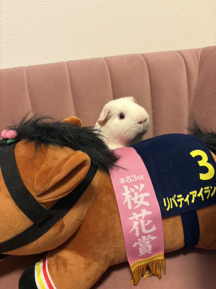 出勤するよー！