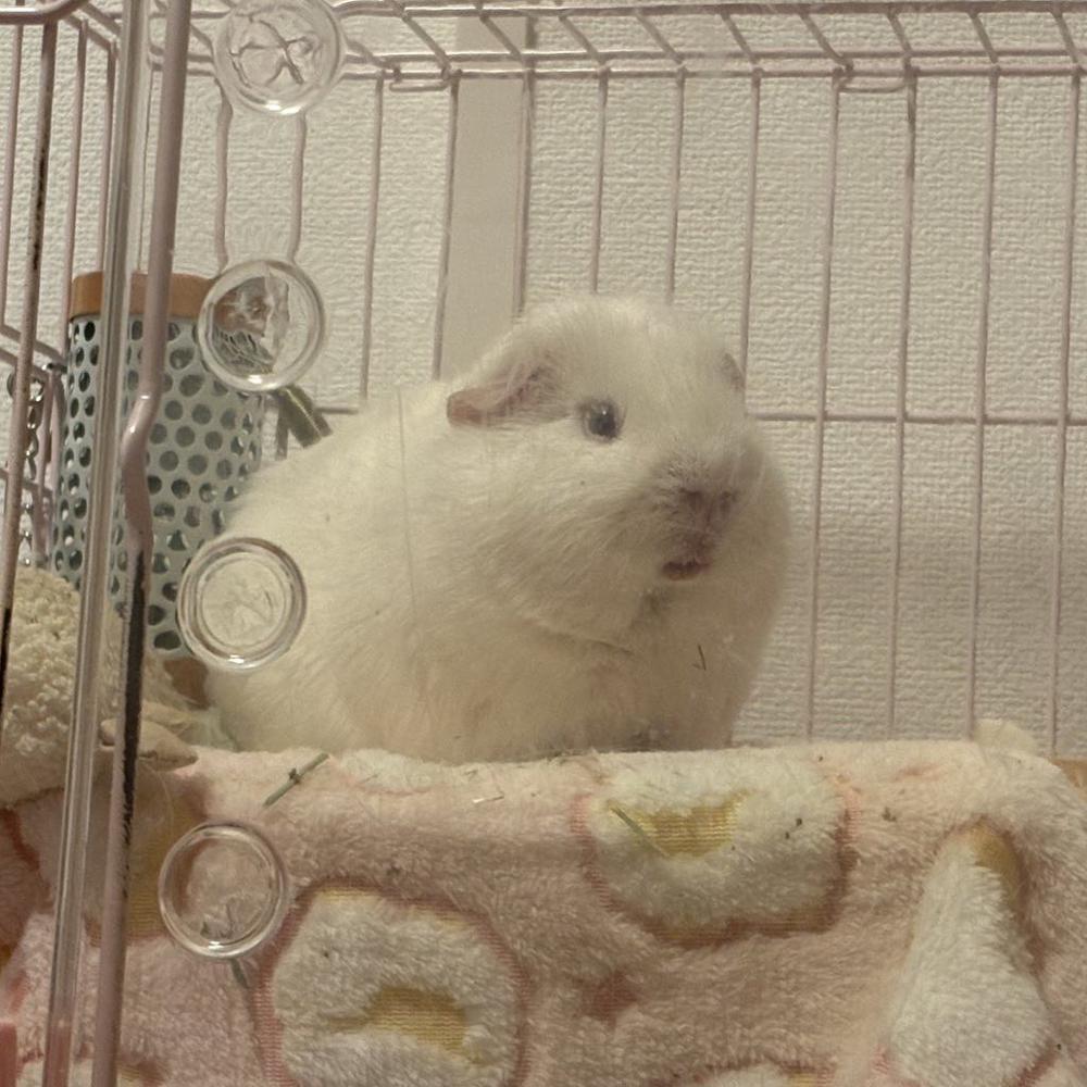 出勤したよー！