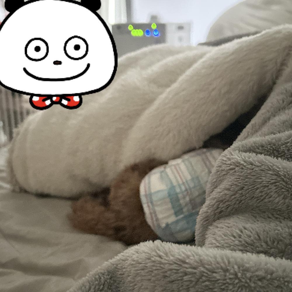 12月は忙しくなるかなー