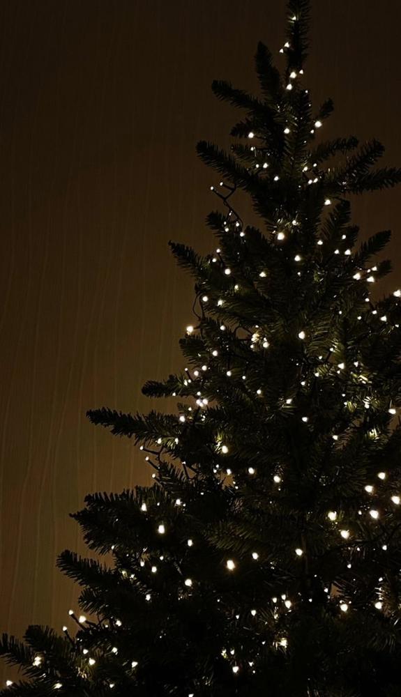 メリークリスマス🎄