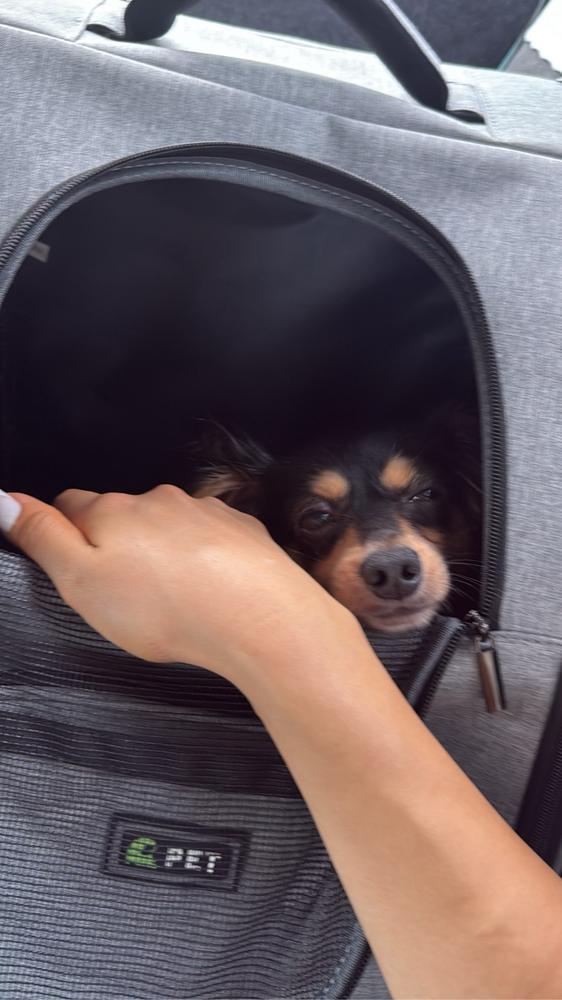 またあしたね♡