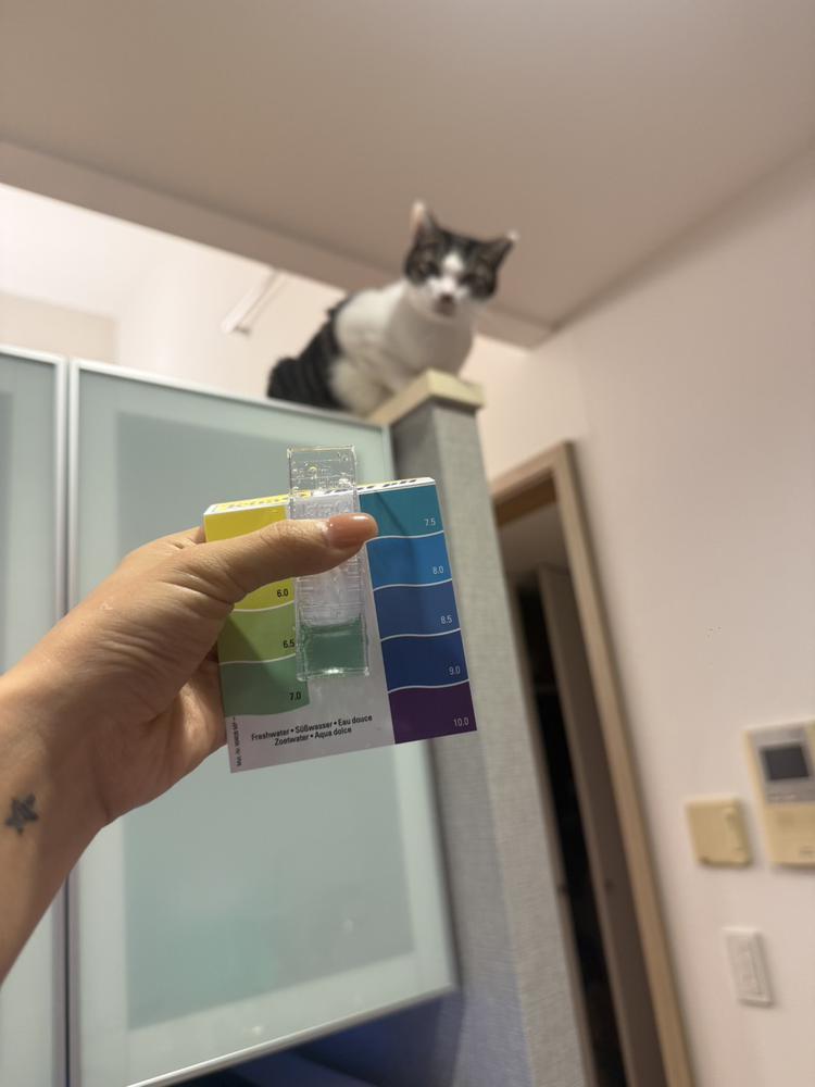 ついに明日はバースデー