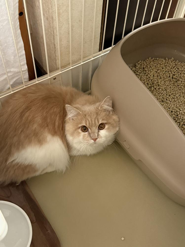 出勤したよー！