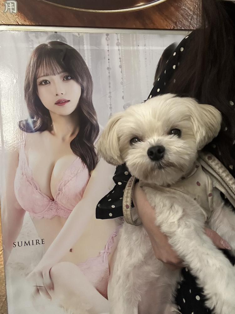 今週コンプリートだ⚡️