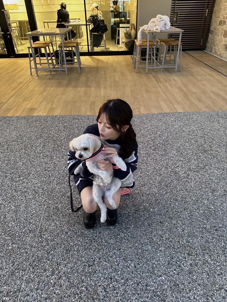 可愛い息子🐶🐾